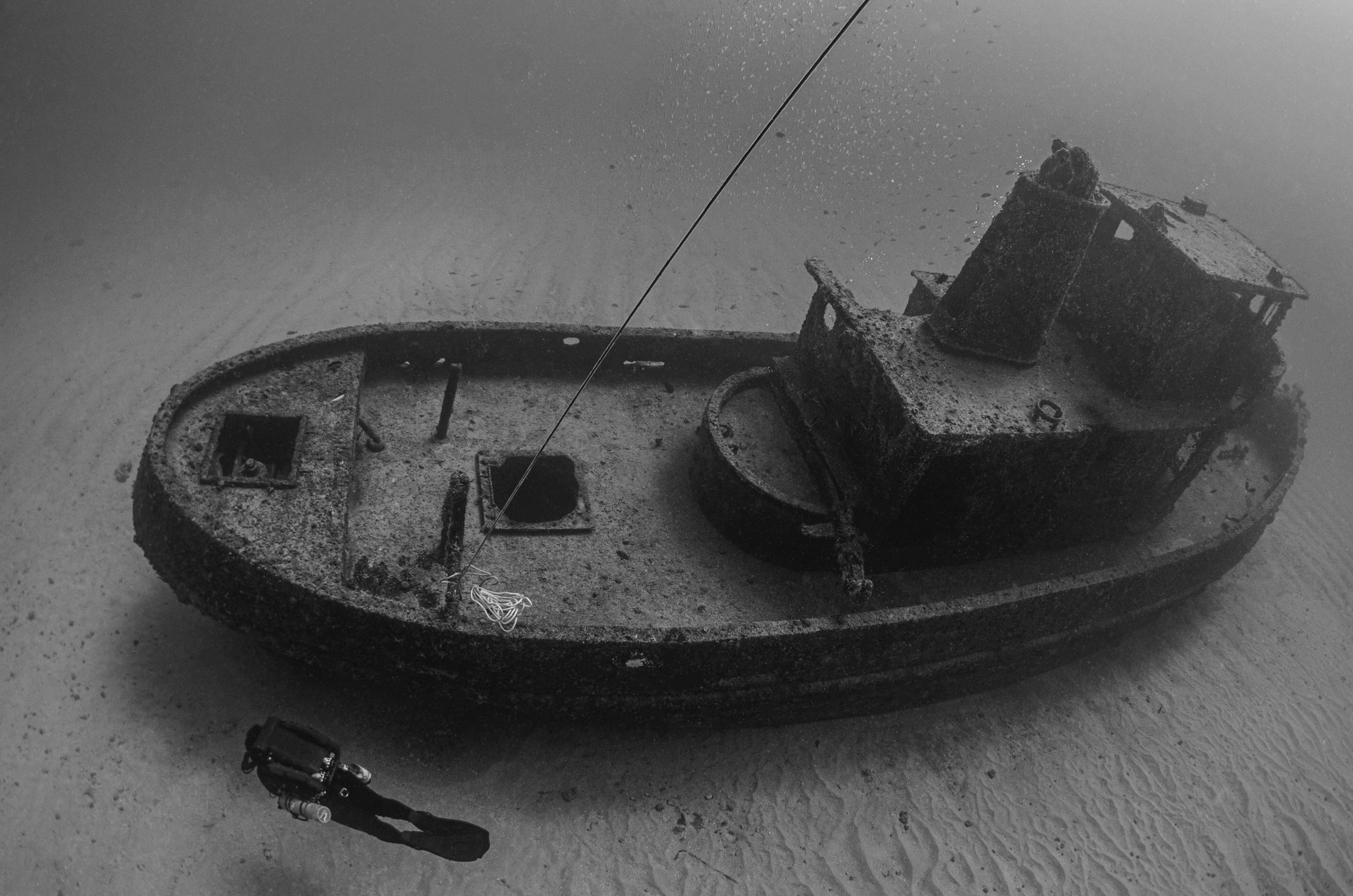 Esplorando i tesori nascosti del mare: l'archeologia sottomarina
